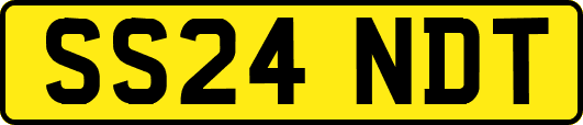 SS24NDT
