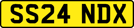 SS24NDX