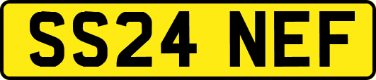 SS24NEF