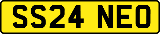 SS24NEO