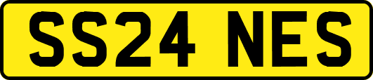 SS24NES