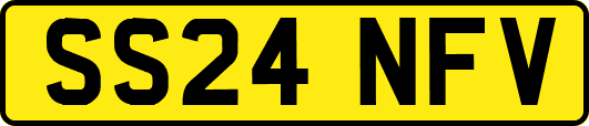 SS24NFV