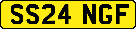 SS24NGF
