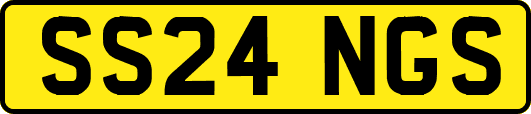 SS24NGS