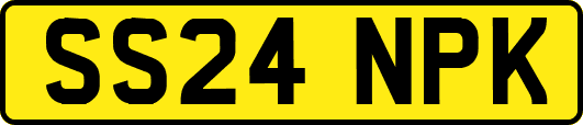 SS24NPK