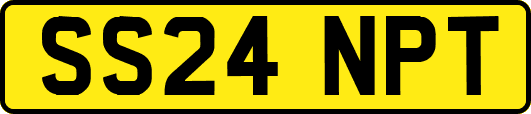 SS24NPT