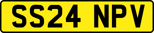SS24NPV