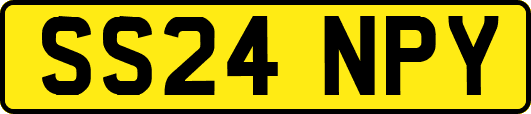 SS24NPY