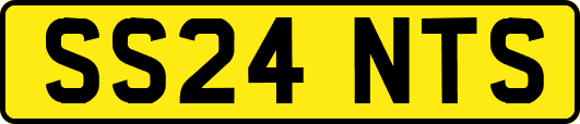 SS24NTS