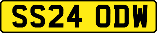SS24ODW