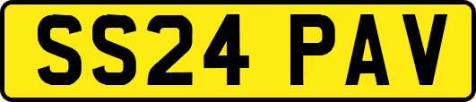 SS24PAV