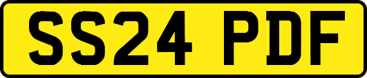 SS24PDF