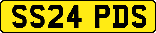 SS24PDS