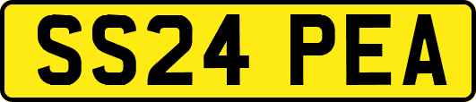 SS24PEA