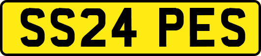 SS24PES