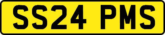 SS24PMS