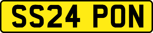 SS24PON