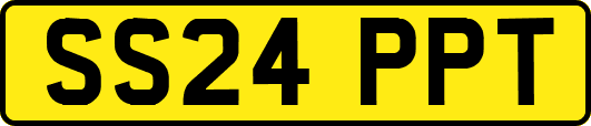 SS24PPT