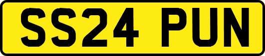 SS24PUN