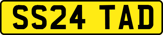 SS24TAD