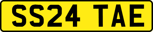 SS24TAE