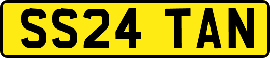 SS24TAN