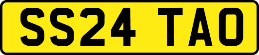 SS24TAO
