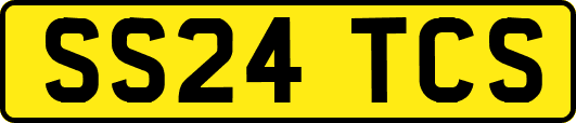 SS24TCS
