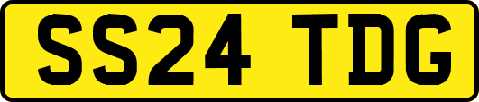 SS24TDG