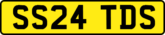 SS24TDS