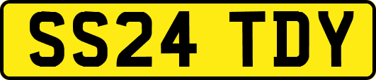 SS24TDY