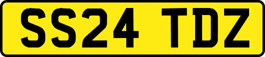SS24TDZ