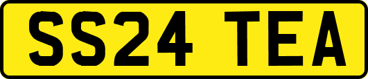 SS24TEA