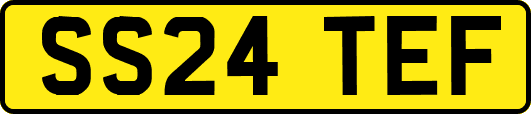 SS24TEF