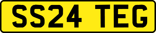SS24TEG