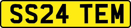 SS24TEM