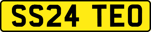 SS24TEO