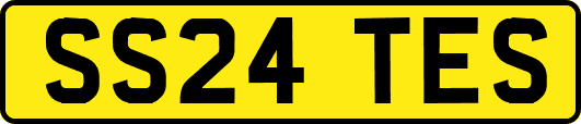 SS24TES