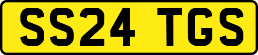 SS24TGS