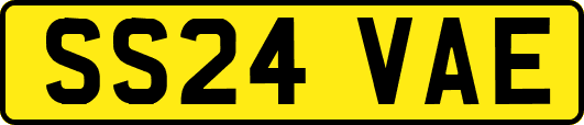 SS24VAE