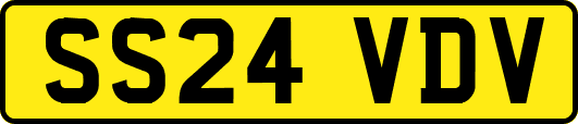 SS24VDV
