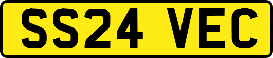 SS24VEC