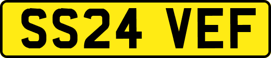 SS24VEF