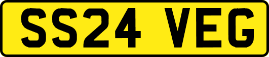 SS24VEG