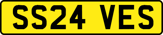 SS24VES