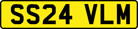 SS24VLM