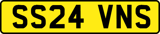 SS24VNS