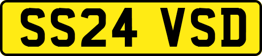 SS24VSD