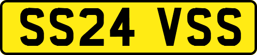 SS24VSS