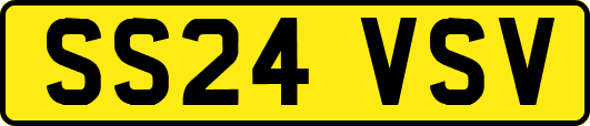 SS24VSV